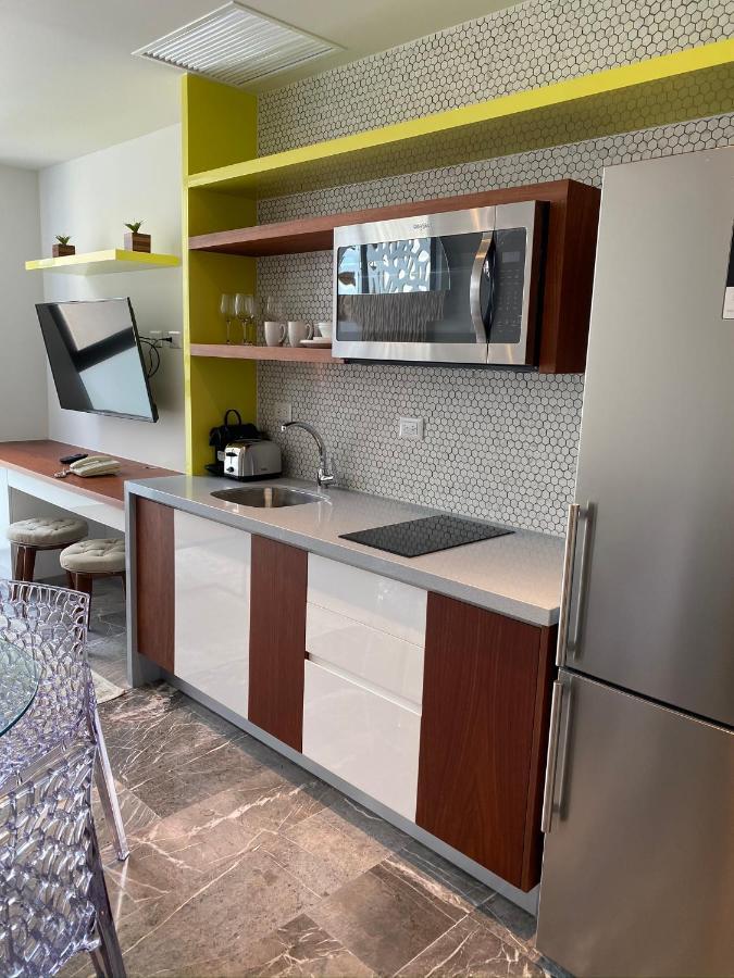 Singular Joy Residences プレヤデルカーメン エクステリア 写真